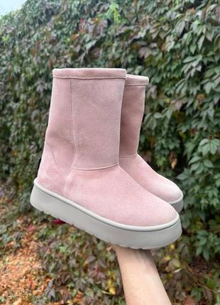 Угги женские высокие зимние пудровые розовые натуральная замша ugg уги ботинки сапоги