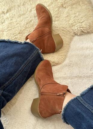 Замшеві руді чоботи козаки короткі clarks breccan myth