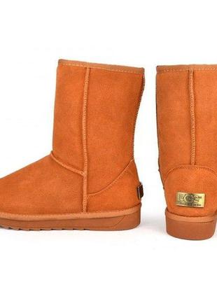 Уги натуральний замш ugg australia руді, коричневий, 36