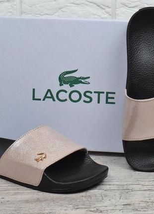 Шлепанцы женские кожаные lacoste пудра розовые, розовый, 36