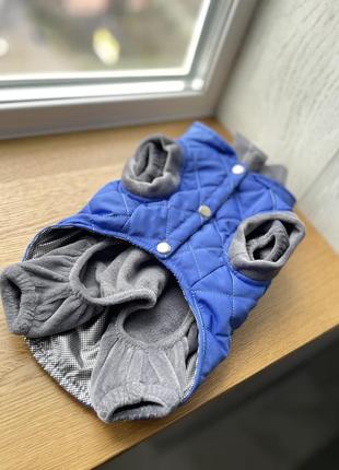 Двійка костюм для собак жилетка та комбінезон синій