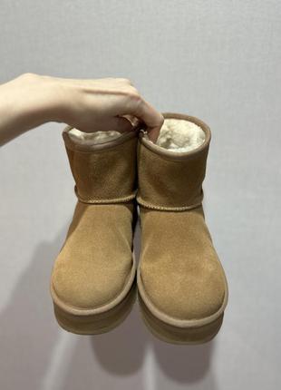 Ugg classic mini platform ( 37р.)