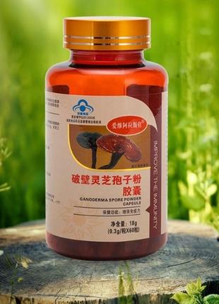 Капсули гриби рейші 60 капсул екстракт.