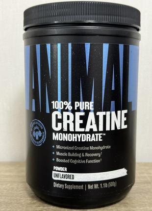 Мікронізований креатин моногідрат, universal nutrition, animal creatine powder - 500 г3 фото
