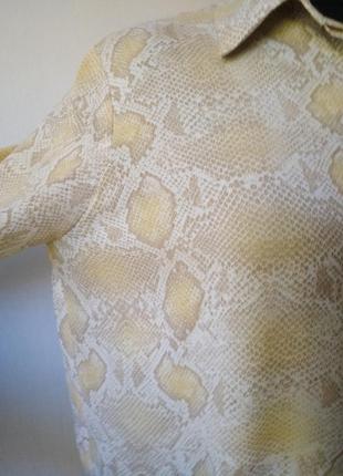 Рубашка змеиный принт mango4 фото