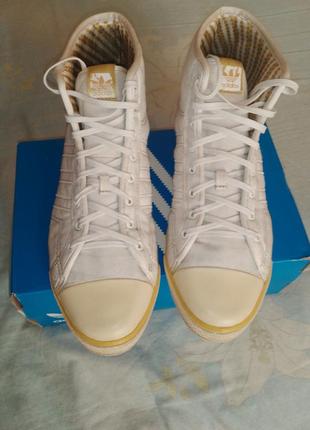 Кеди бренду adidas.