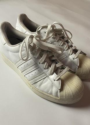 Кросівки adidas superstar