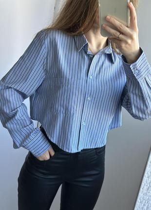 Укорочена смугаста сорочка