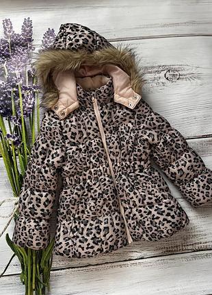 Куртка курточка тигрова леопардова осіння зимова весняна на флісі для дівчинки h&m