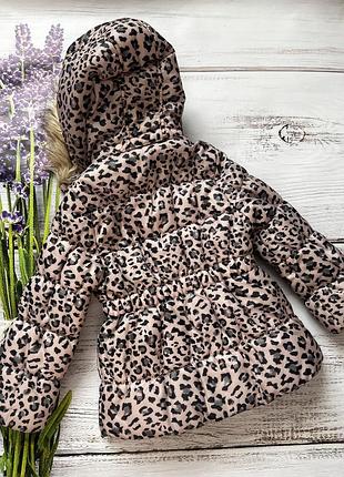 Куртка курточка тигрова леопардова осіння зимова весняна на флісі для дівчинки h&m2 фото