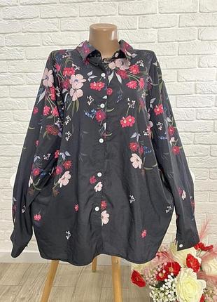 Блузка блуза длинный рукав р 52-54