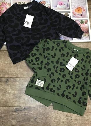 Нові світшоти зара