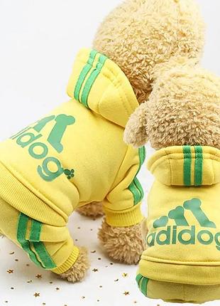 Костюм на маленьку собачку