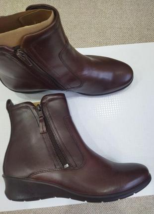 Черевички ecco