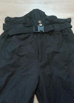 Лыжные спортивные утепленные брюки мужские 52