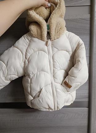Курточка теди