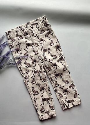 Штанці мікровельвет