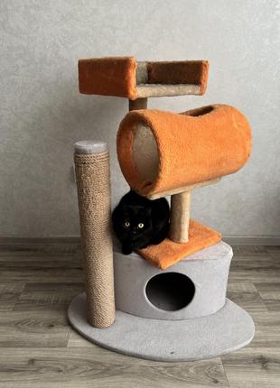 Будинок-кігтеточка для кота 2 в 1
