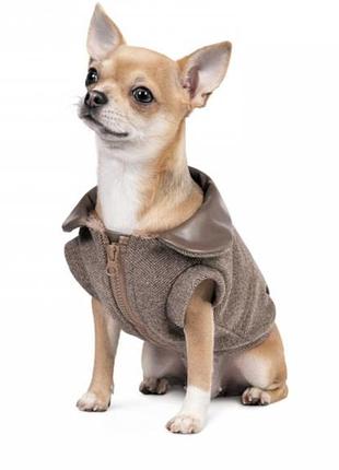 Жакет коричневий для собак