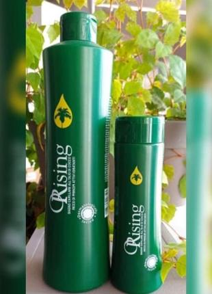 Фитоэссенциальный шампунь для сухих волос с кокосовым маслом orising cocco shampoo