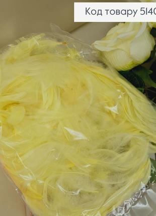 Наполнитель для коробок из перьев, наполнитель для подарков молочный 10г, материал для наполнения