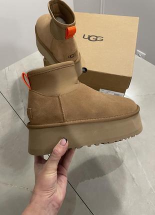 Уггі ugg dipper угги