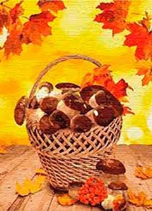 Набір для розпису по номерам 40*50см лісові дари кно5601 ідейка