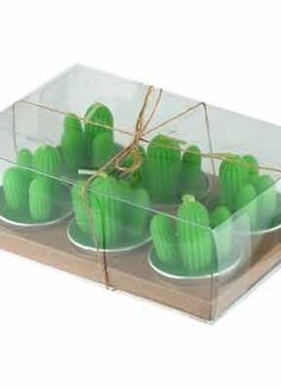 Набір сувенірний свічка-таблетка кактус 6шт ма- 22-19