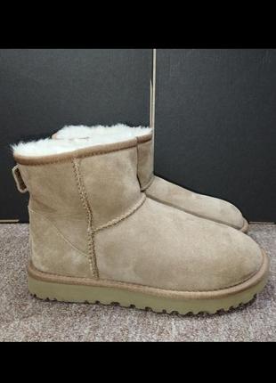 Угги ugg classic mini ii 1016222