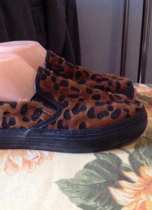 Туфли - слипоны леопардовый принт sinsay, р. 39