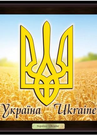Эко-картина  "українська символіка" - "герб украины"