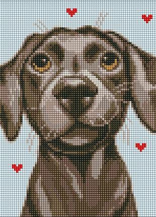 Алмазная мозаика без подрамника для детей "ласковый друг" amc7878 с ав стразами 30х30 см