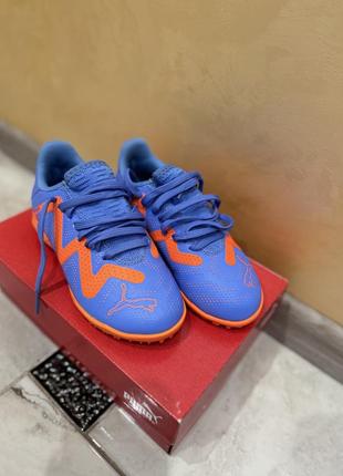 Сороканіжки puma