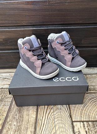 Зимние ботинки ecco sp.1lite gore-tex 21