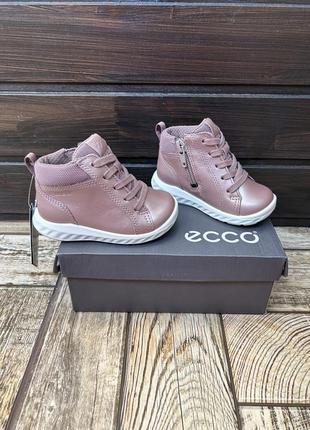Черевики демісезонні шкіряні ecco gore-tex, 20