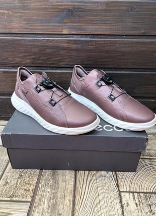 Шкіряні кросівки ecco sp.1 lite boa 35