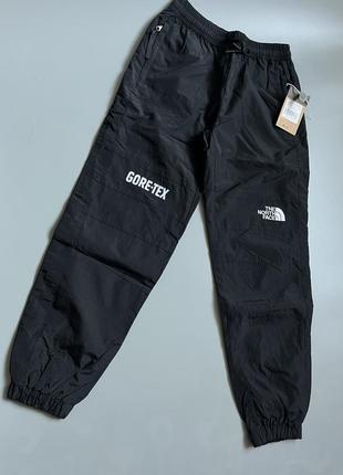 Штани the north face gore-tex