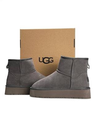Жіночі уггі ugg classic mini platform grey fur