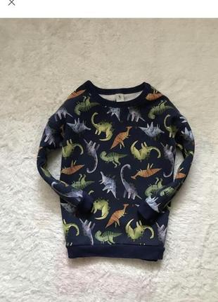 Кофта тепла флісова діно світшот