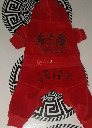 Костюм juicy для маленького собачки з вишивкою