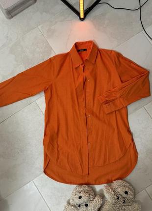 Помаранчева рубашка s.t.l.