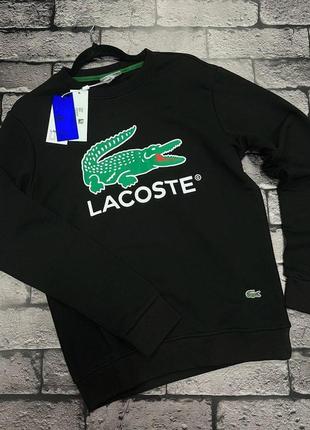 Світшот lacoste premium