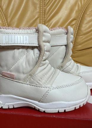 Puma