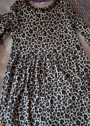 Сукня бавовна леопард h&amp;m