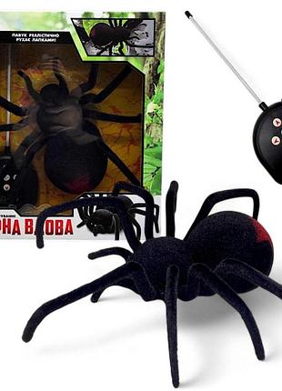 Павук на радіокеруванні "чорна вдова"
