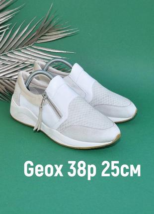 Кожаные кроссовки geox