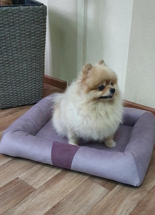 Матрас для котов и собак меджик фиолетовый