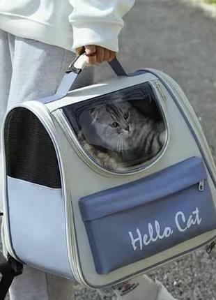 Переноска рюкзак для тварин, рюкзак для котів і собак із вентилювальними вставками.