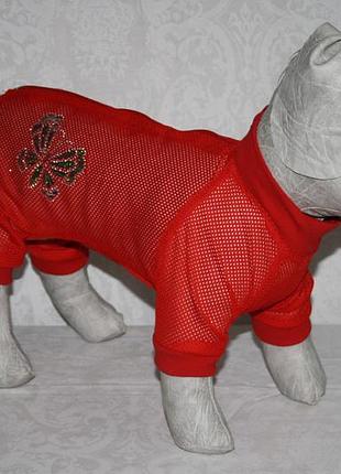 Комбинезон  для собаки  лето