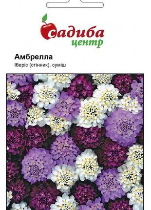 Насіння іберіса амбрелла суміш 0,5 г, нім zaden